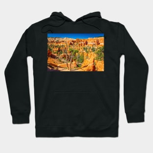 Bryce Canyon National Park Hoodie